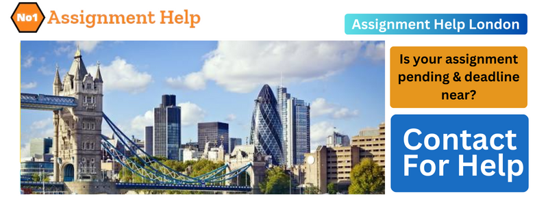 Assignment Help Service In London
