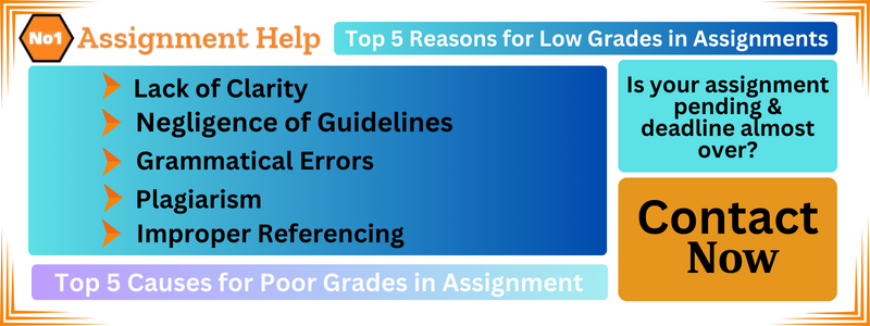 Top 5 Reasons for Poor Grades of Students in Essays